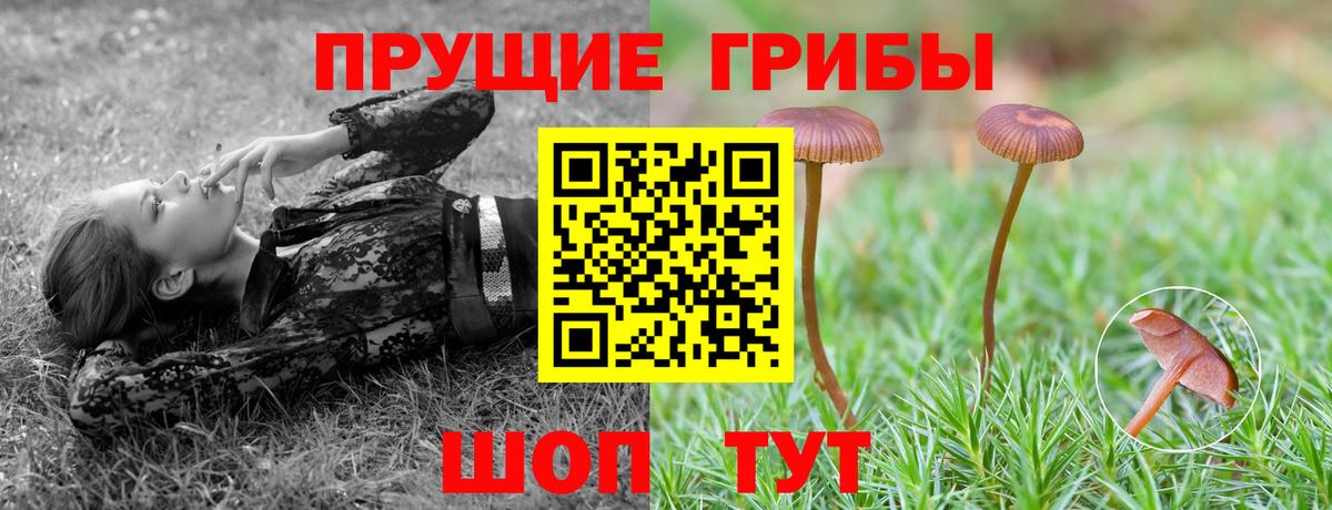 Ижевск  Галлюциногенные грибы Psilocybine cubensis  Вход с VPN 
